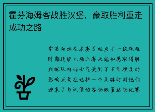 霍芬海姆客战胜汉堡，豪取胜利重走成功之路